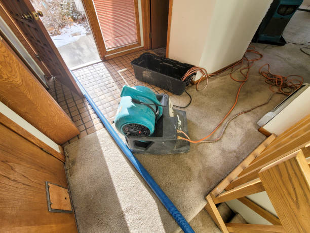 Best Fire Damage Restoration  in Middletown, IN