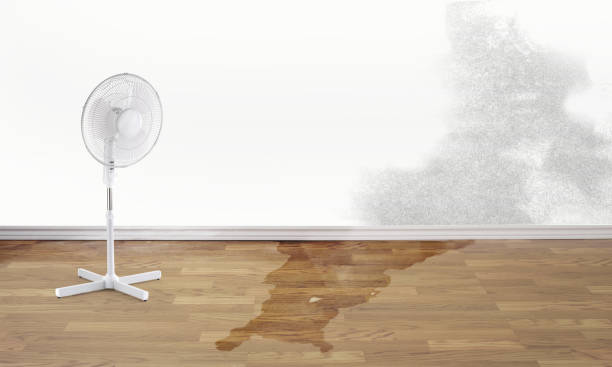 Best Mold removal after water damage  in Middletown, IN