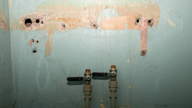 Best Flooded house restoration  in Middletown, IN