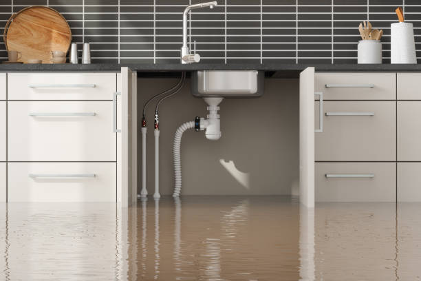 Best Basement water damage restoration  in Middletown, IN